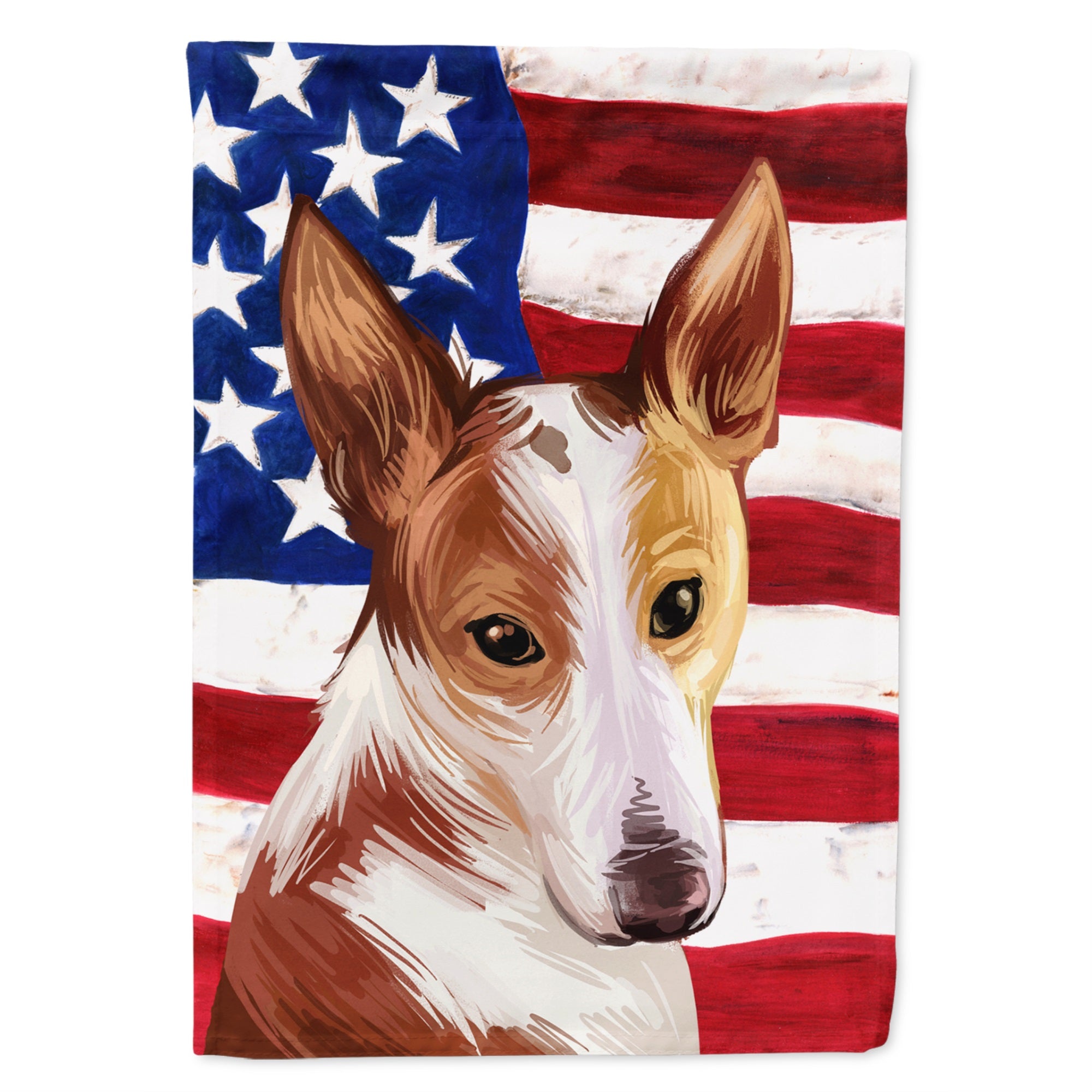Majorca Ratter American Flag Flag Canvas House Size