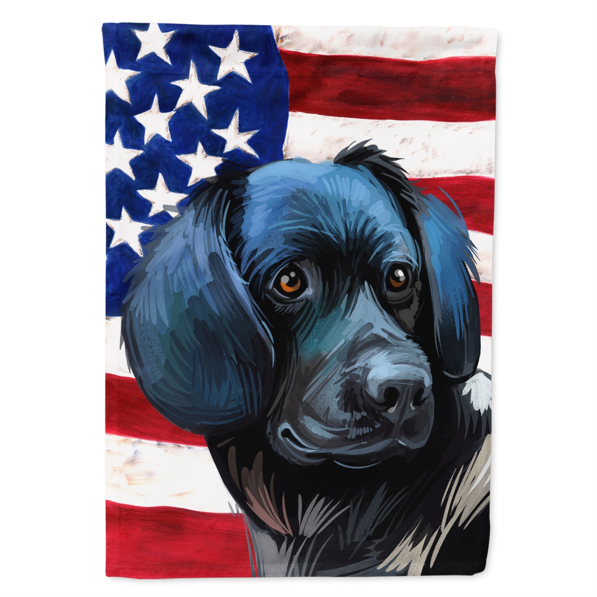 Stabyhoun Dog American Flag Flag Canvas House Size