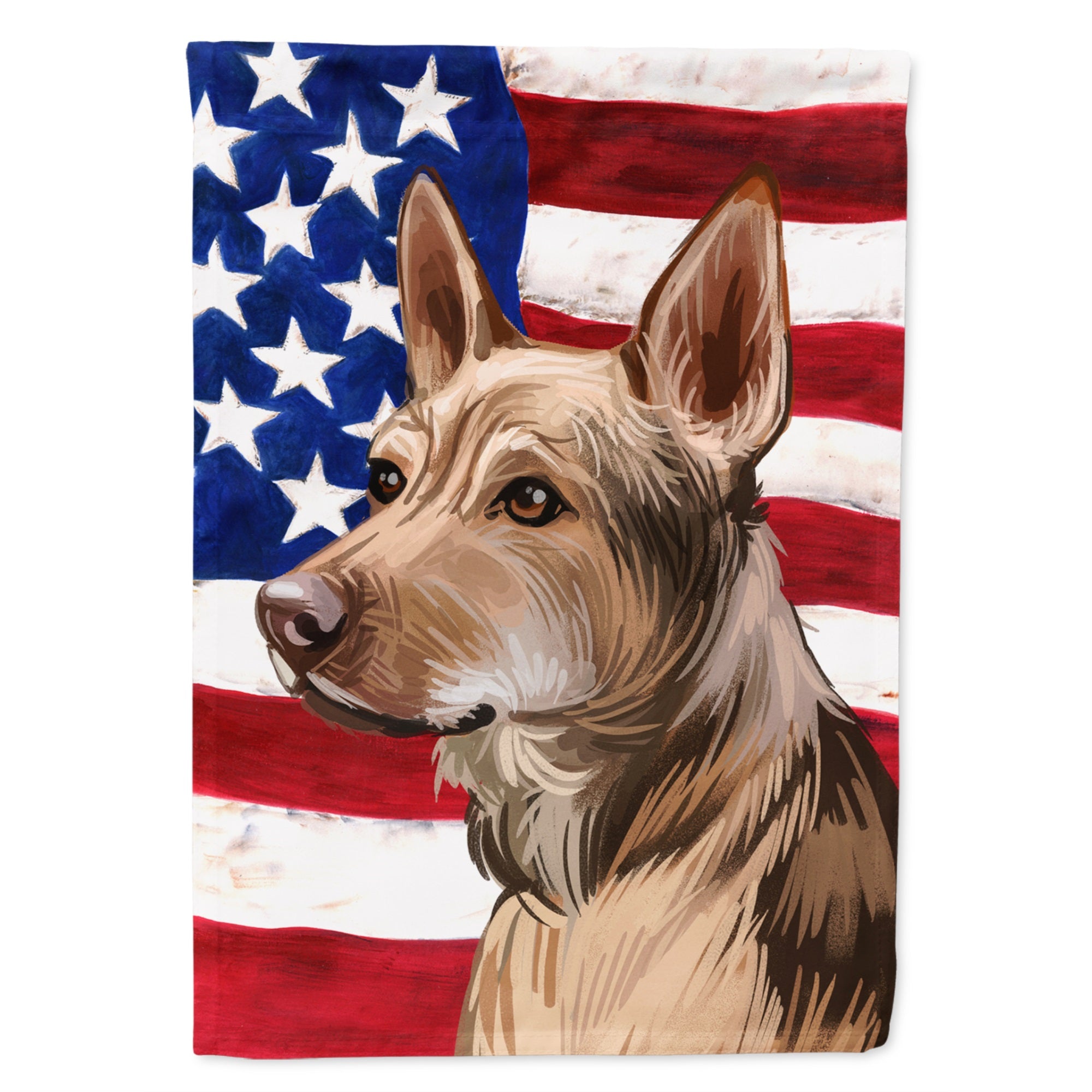 Telomian American Flag Flag Canvas House Size
