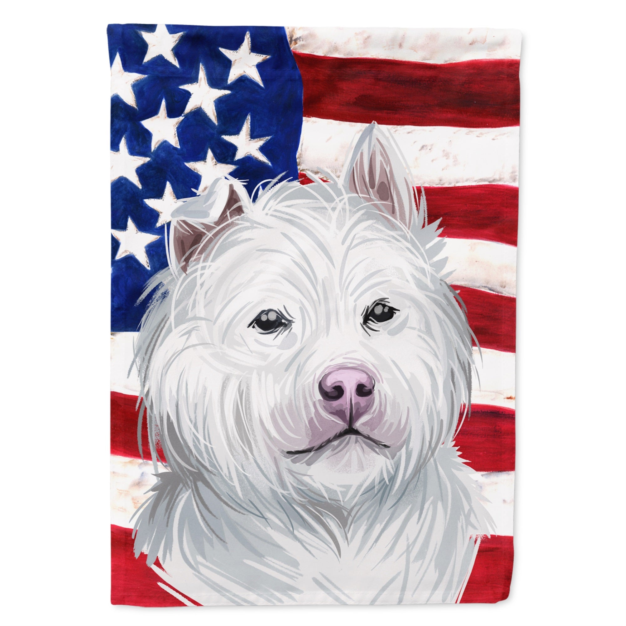 Xiasi Quan American Flag Flag Canvas House Size