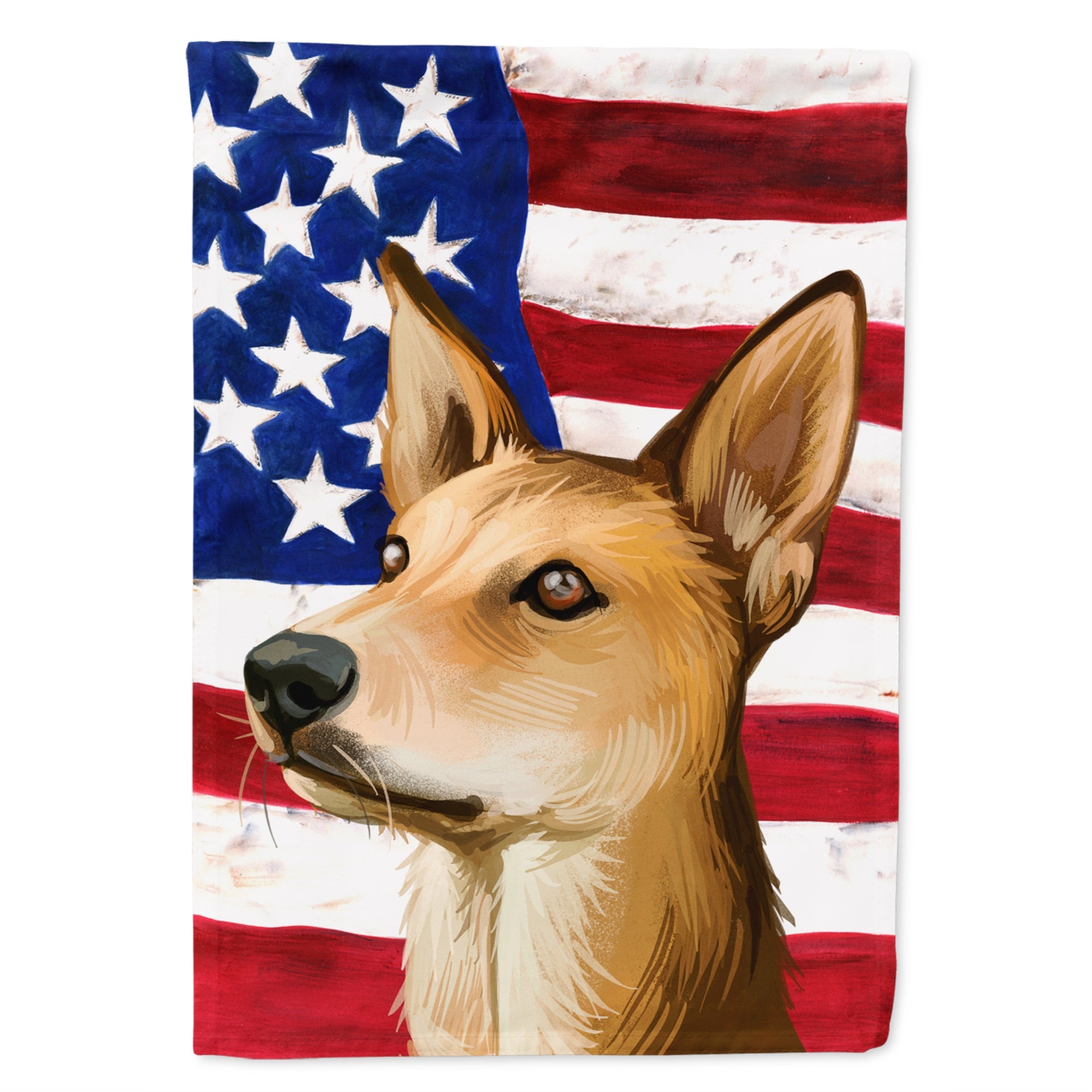 Indian Pariah Dog American Flag Flag Garden Size