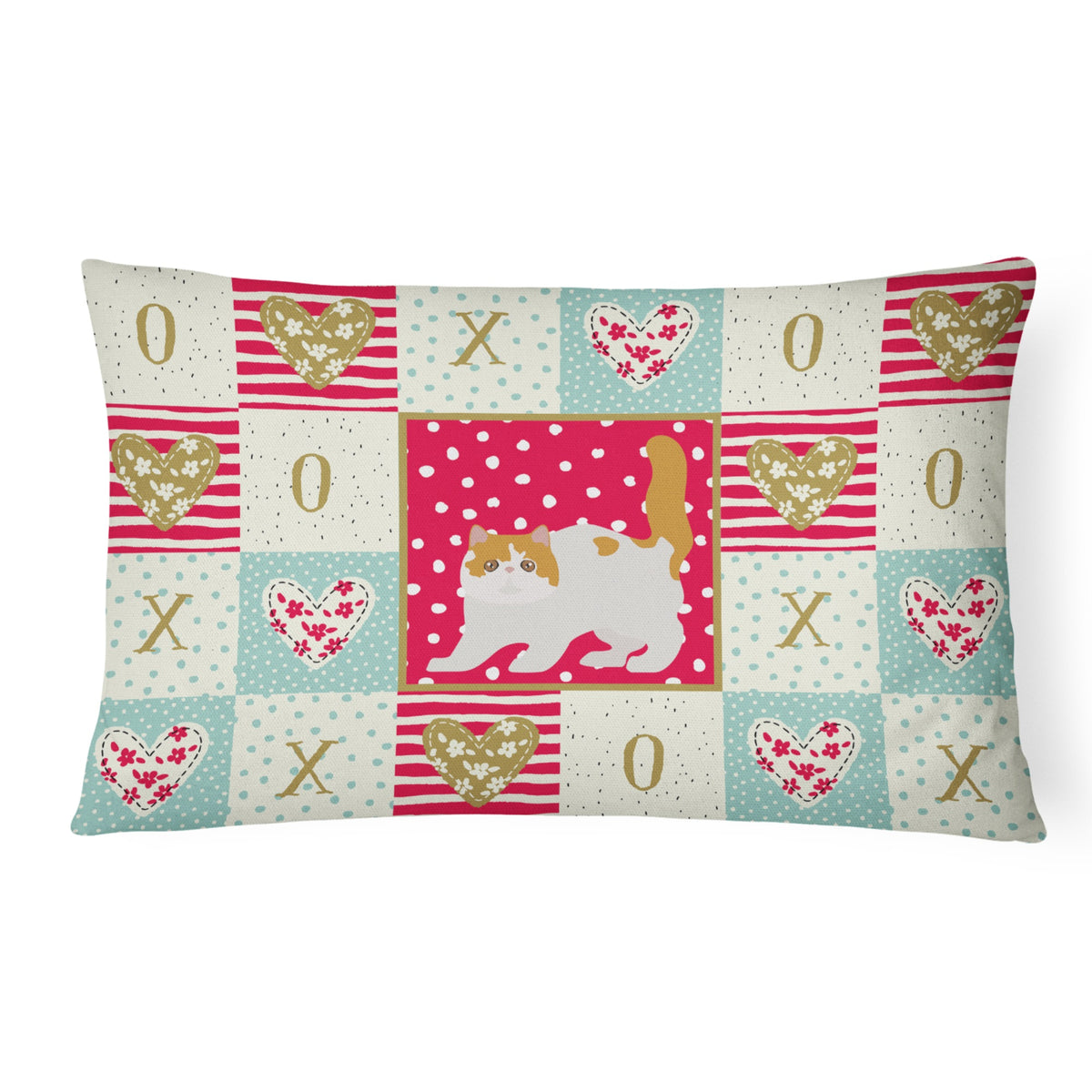 Exotic Shorthair #4 Cat Love Canvas Fabric Decorative Pillow