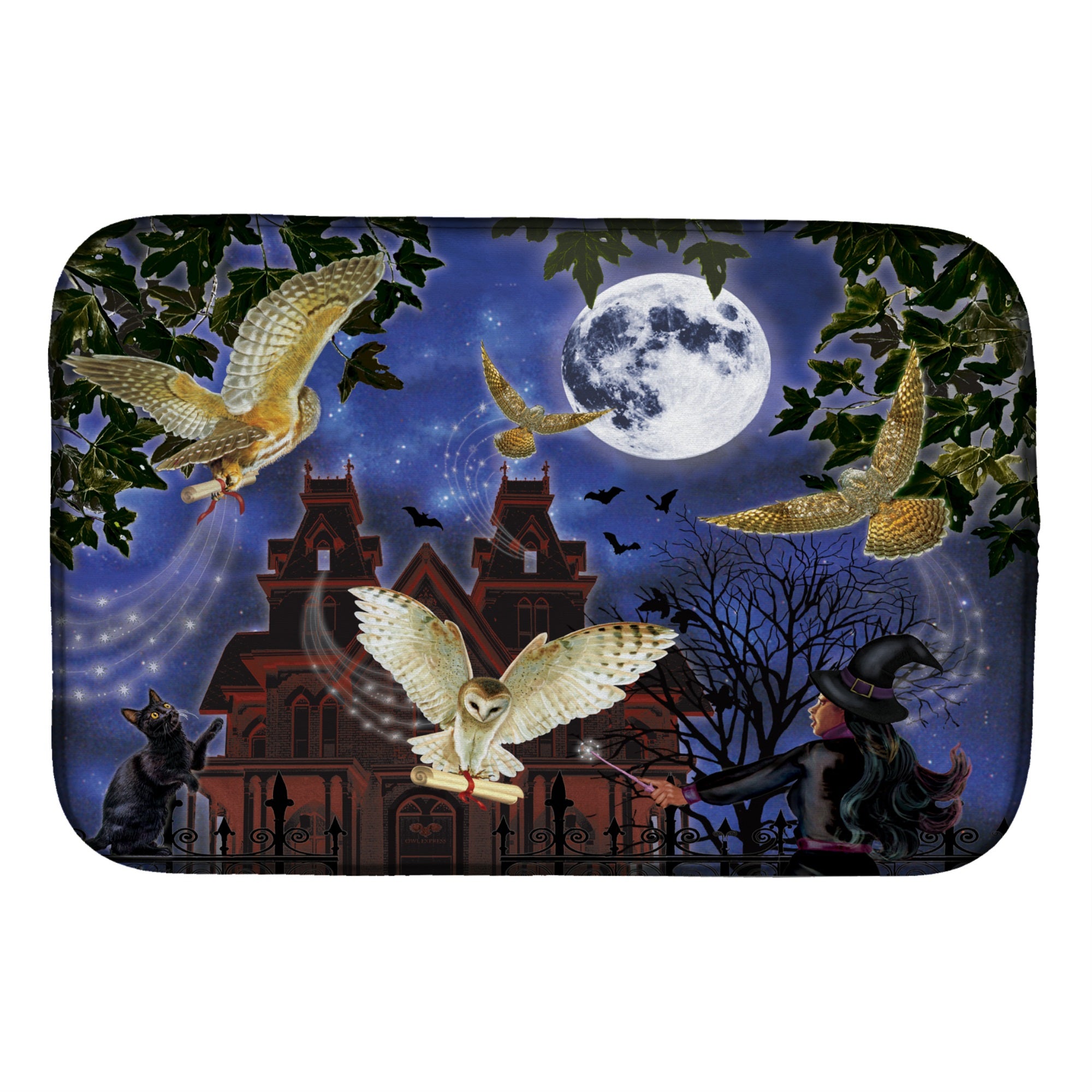 Halloween Owl Express Dish Drying Mat