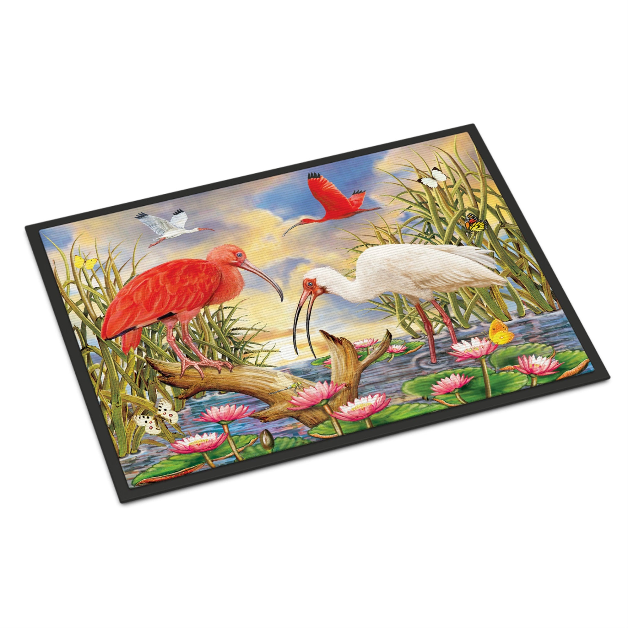 Scarlet And White Ibis Indoor Or Outdoor Mat 24X36