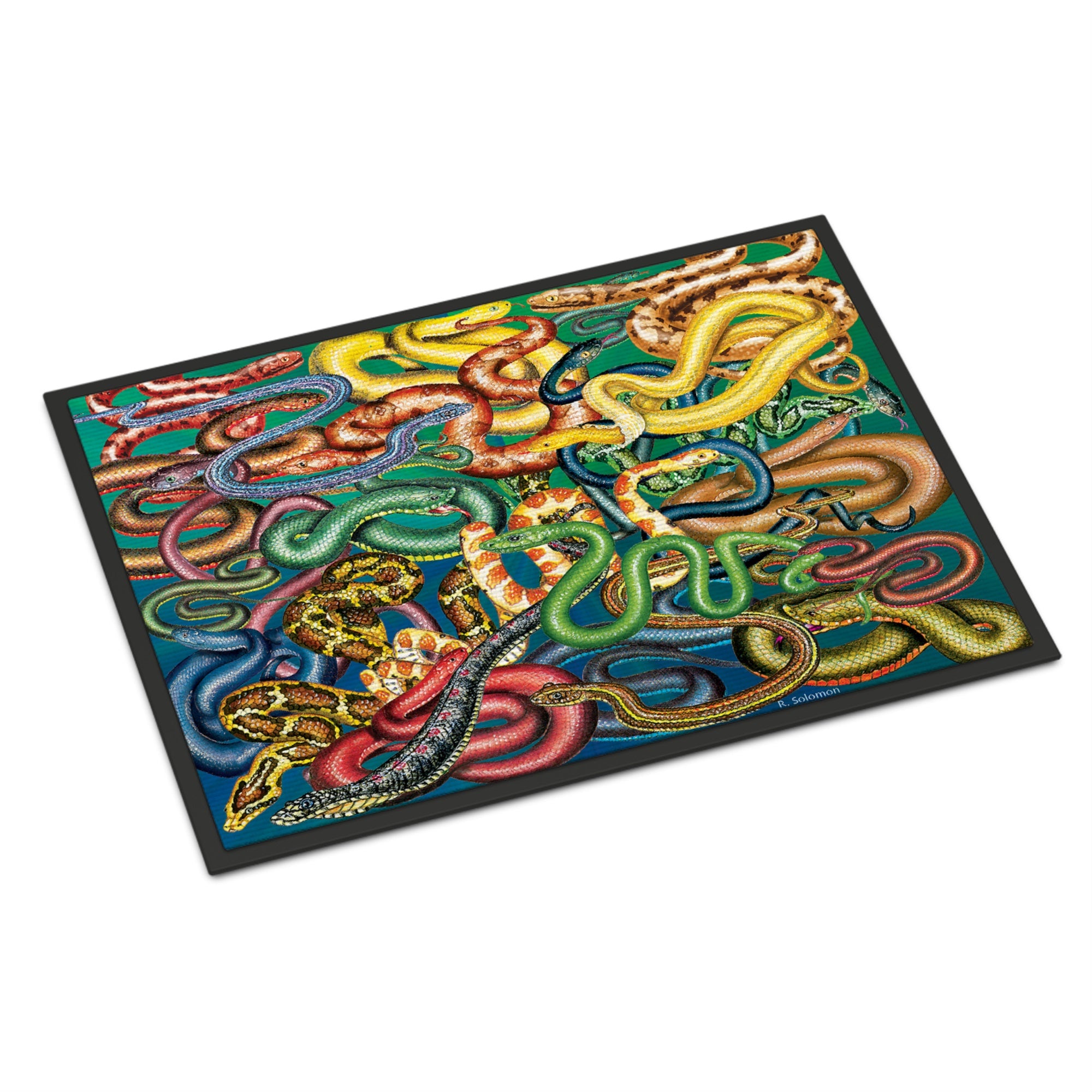Snakes Indoor Or Outdoor Mat 18X27