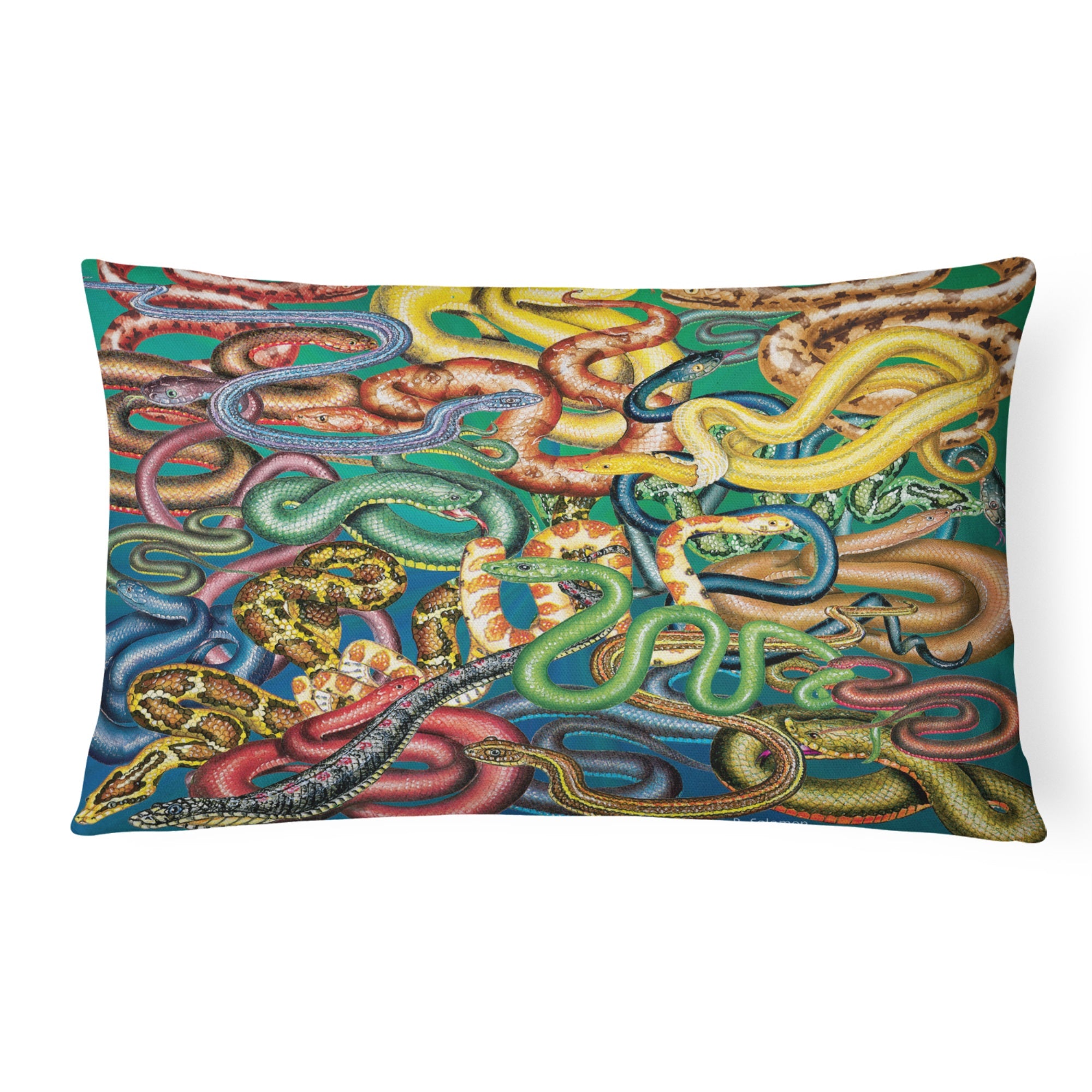 Snakes Canvas Fabric Decorative Pillow