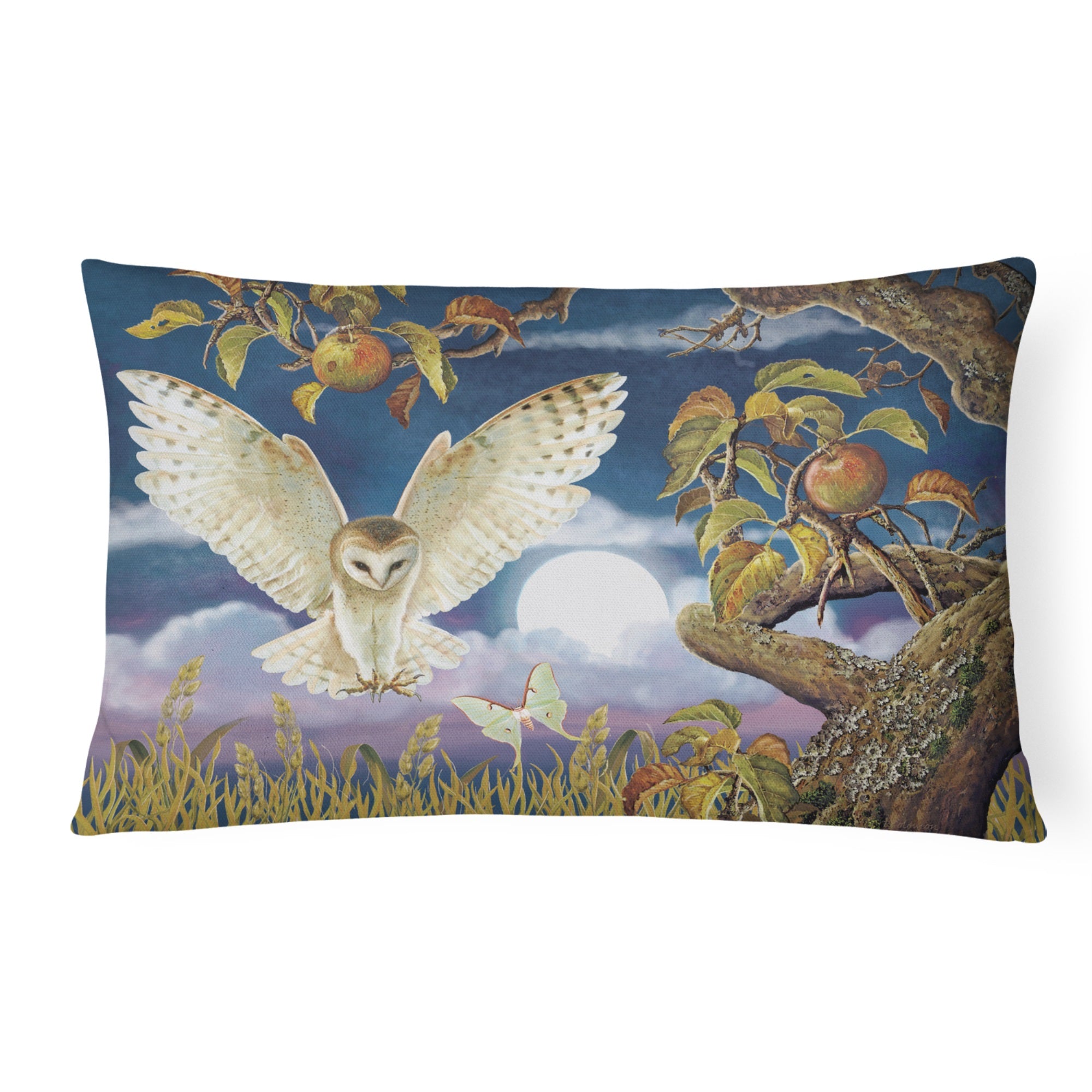 Barn Owl In The Apple Orchard Canvas Fabric Decorative Pillow