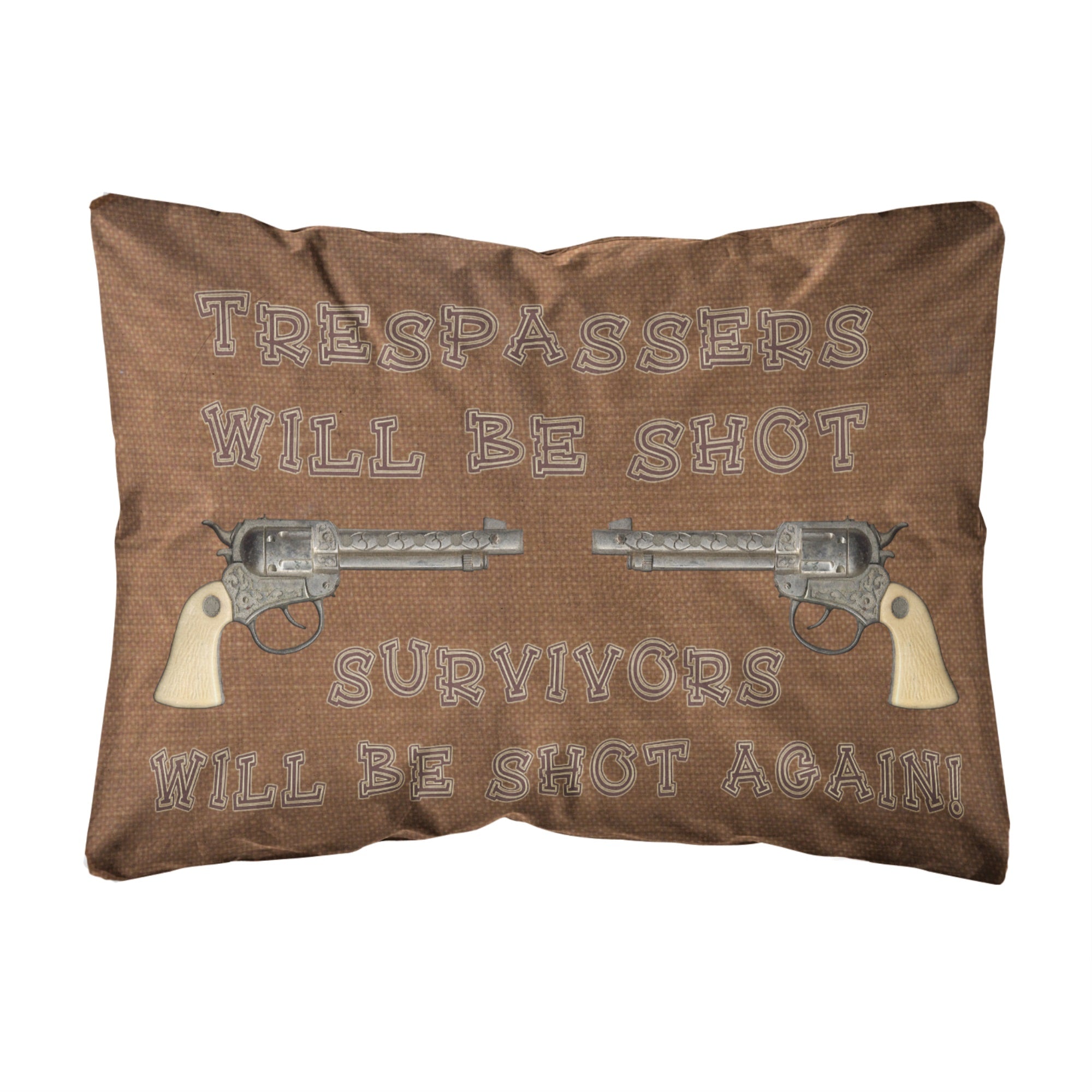 Tresspassers Will Be Shot Canvas Fabric Decorative Pillow