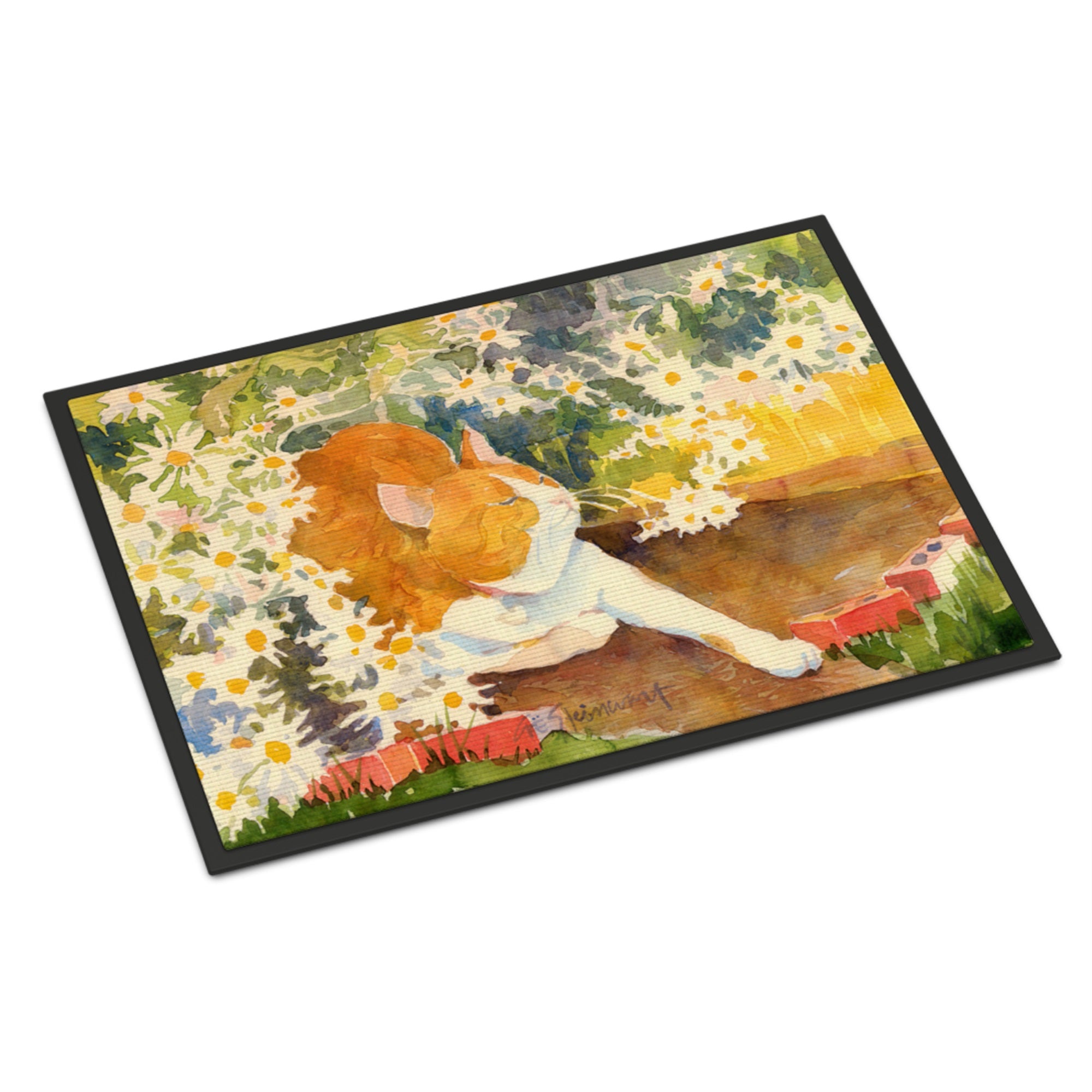 Cat Indoor Or Outdoor Mat 24X36