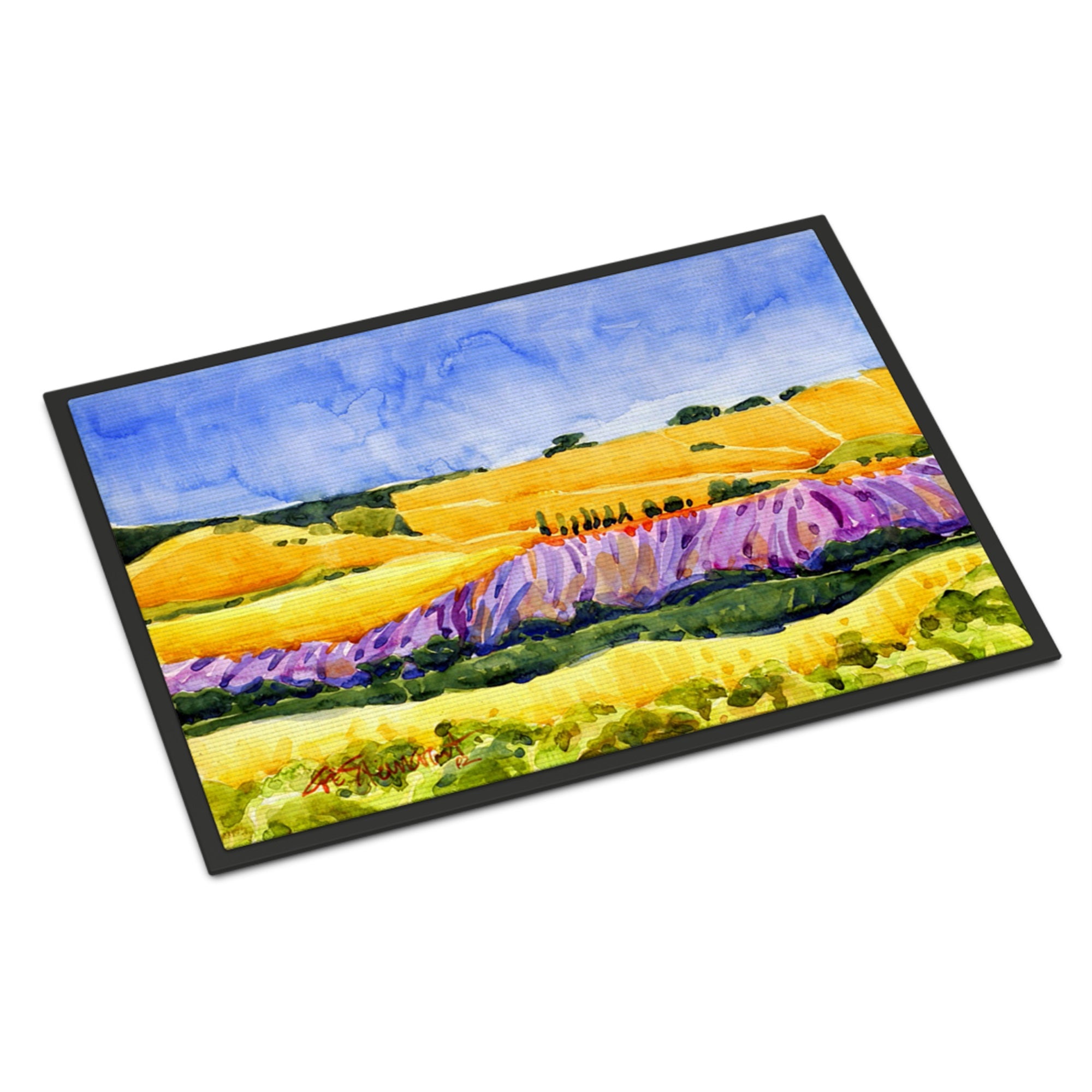 Landscape Indoor Or Outdoor Mat 24X36