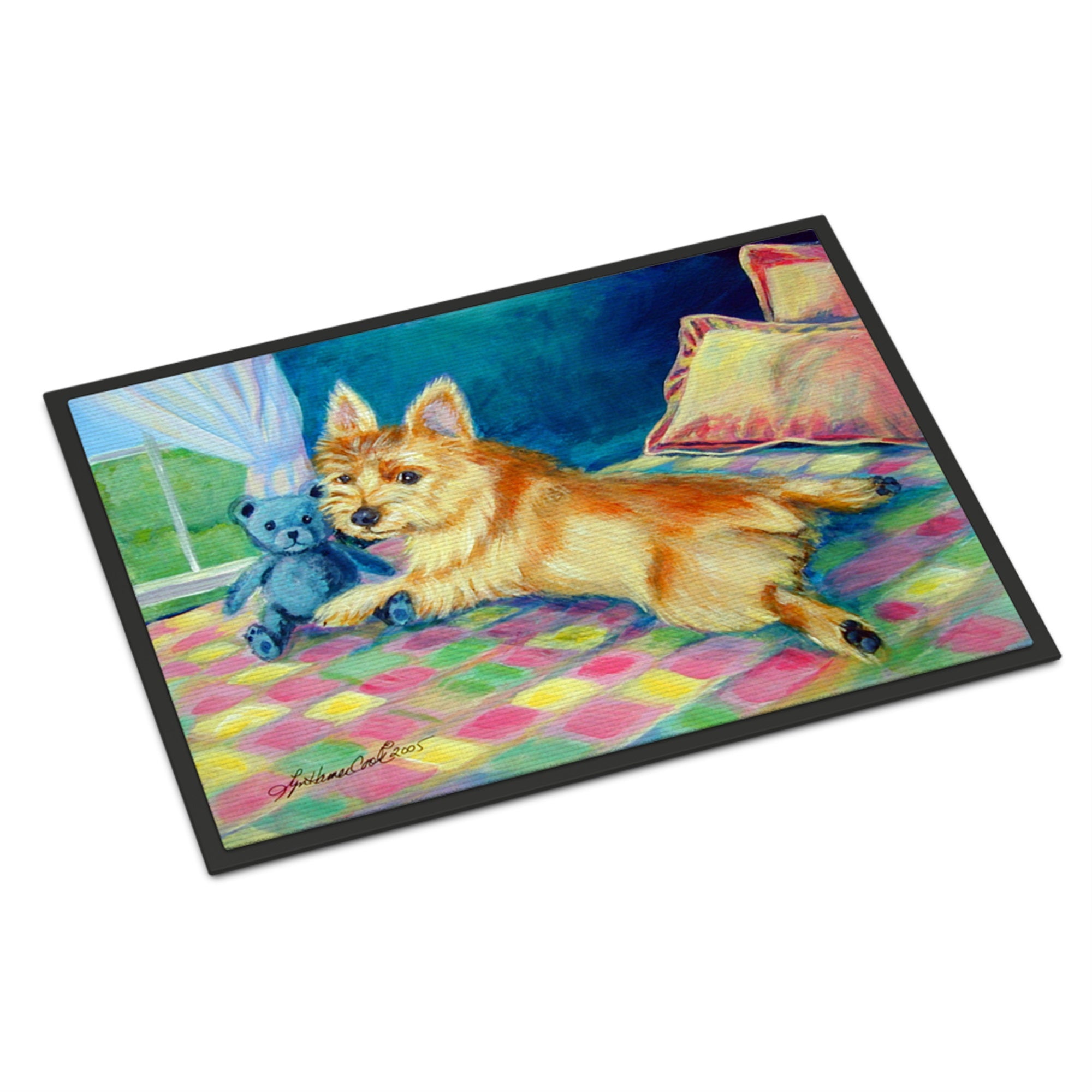 Norwich Indoor Or Outdoor Mat 24X36