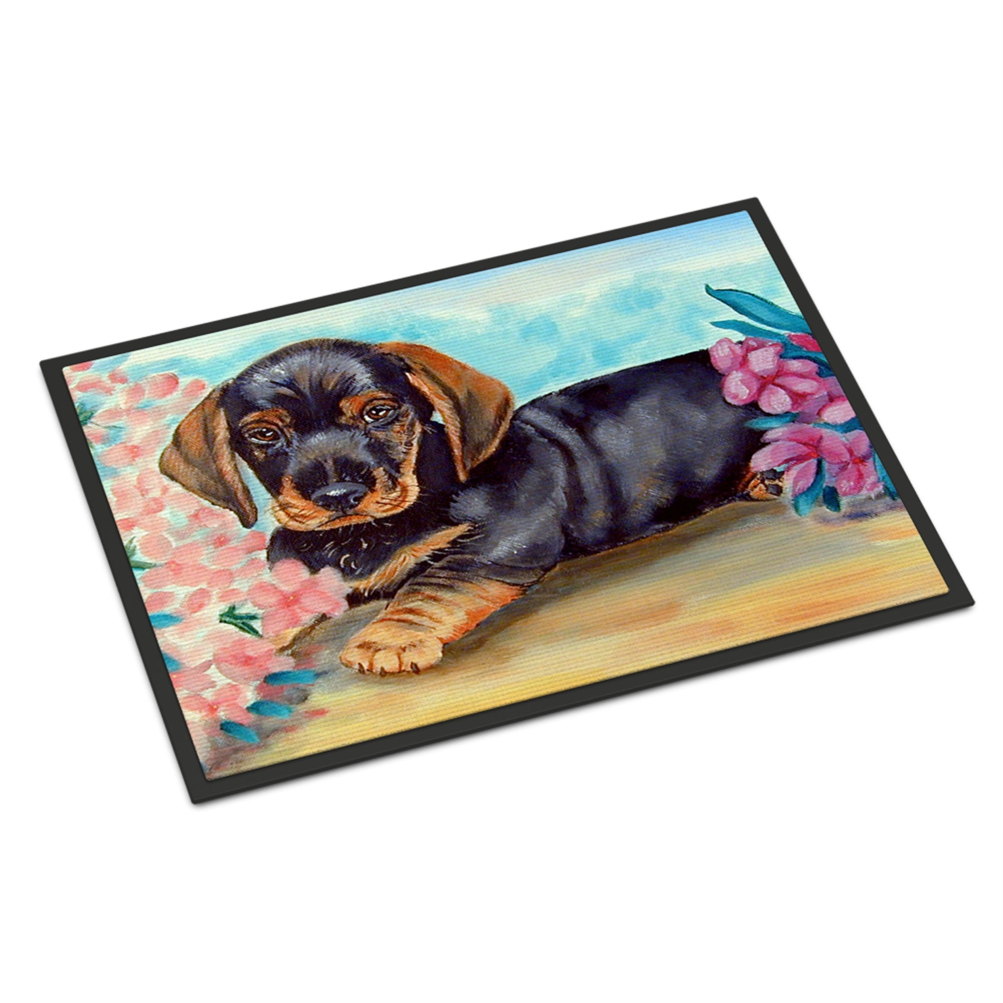 Dachshund Indoor Or Outdoor Mat 24X36