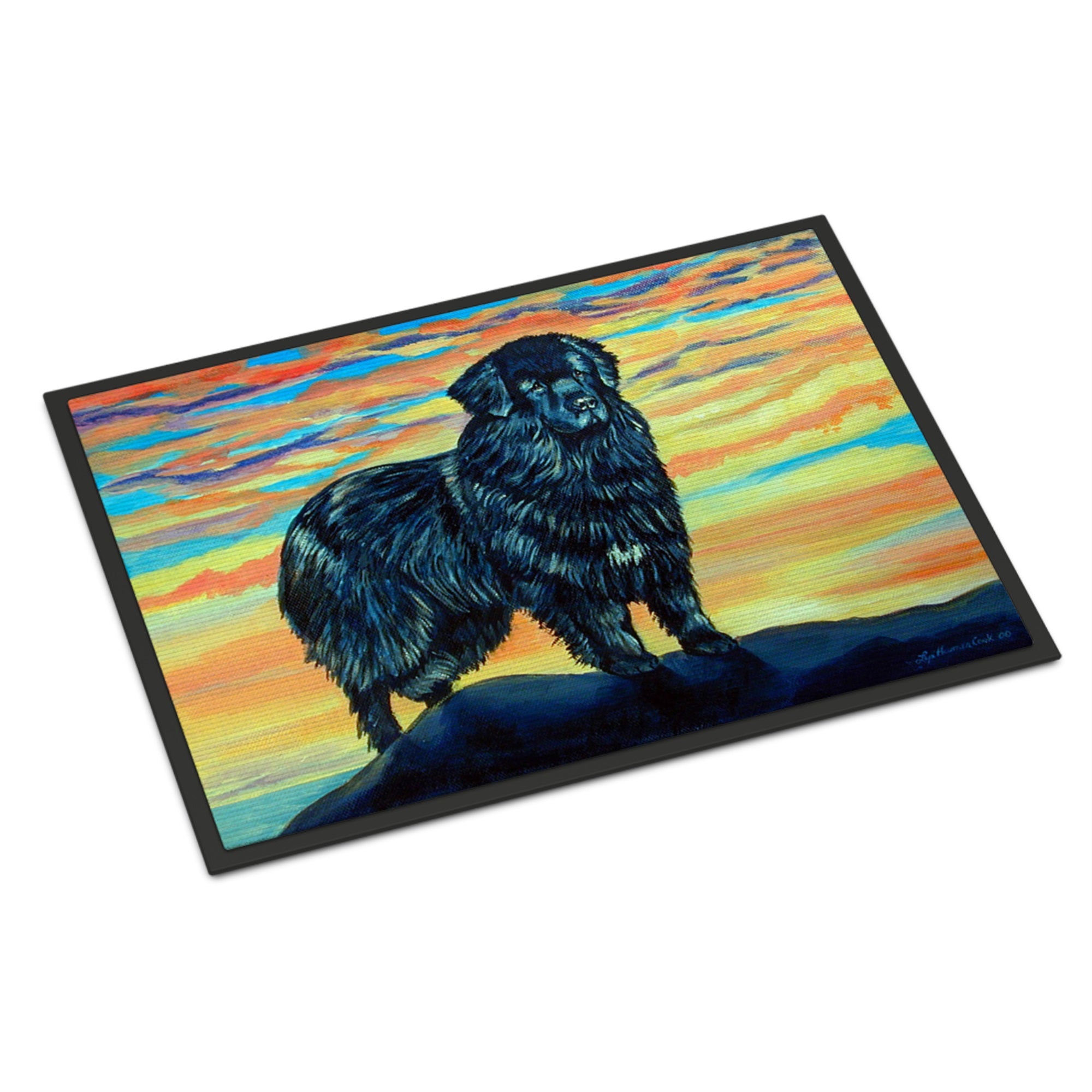 Newfoundland Indoor Or Outdoor Mat 24X36