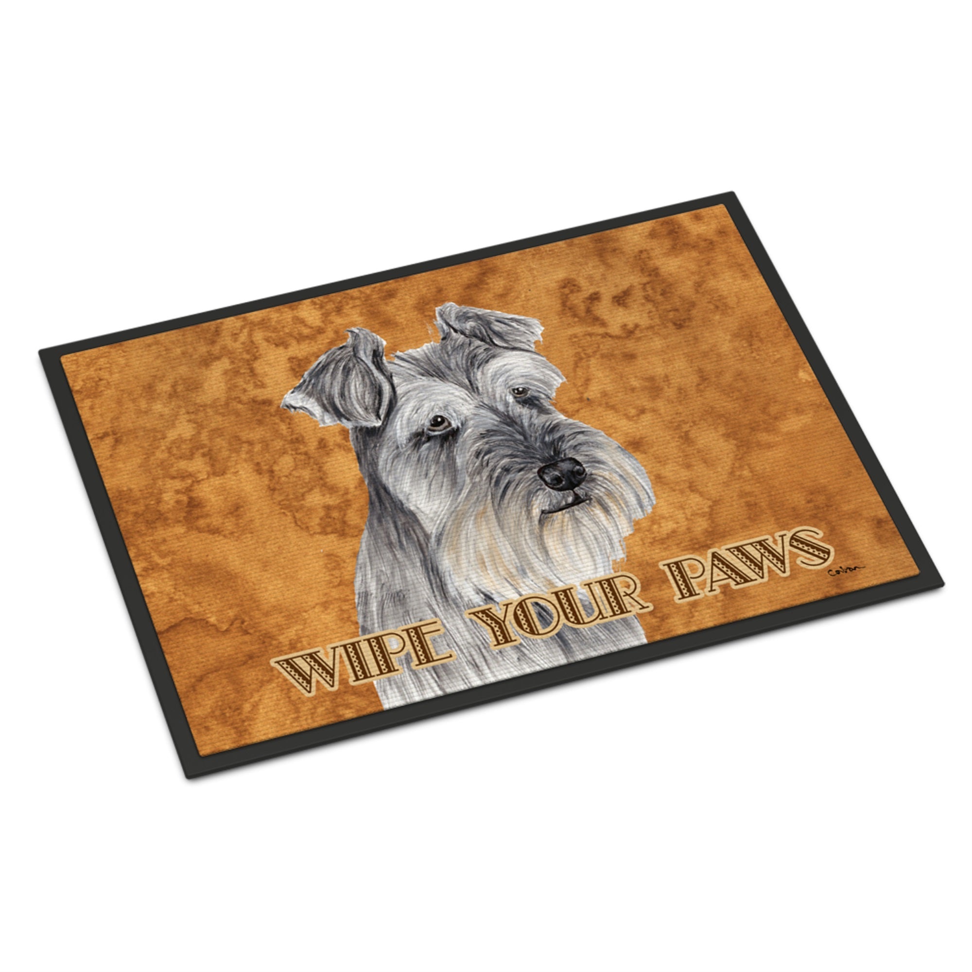 Indoor Or Outdoor Mat 24X36