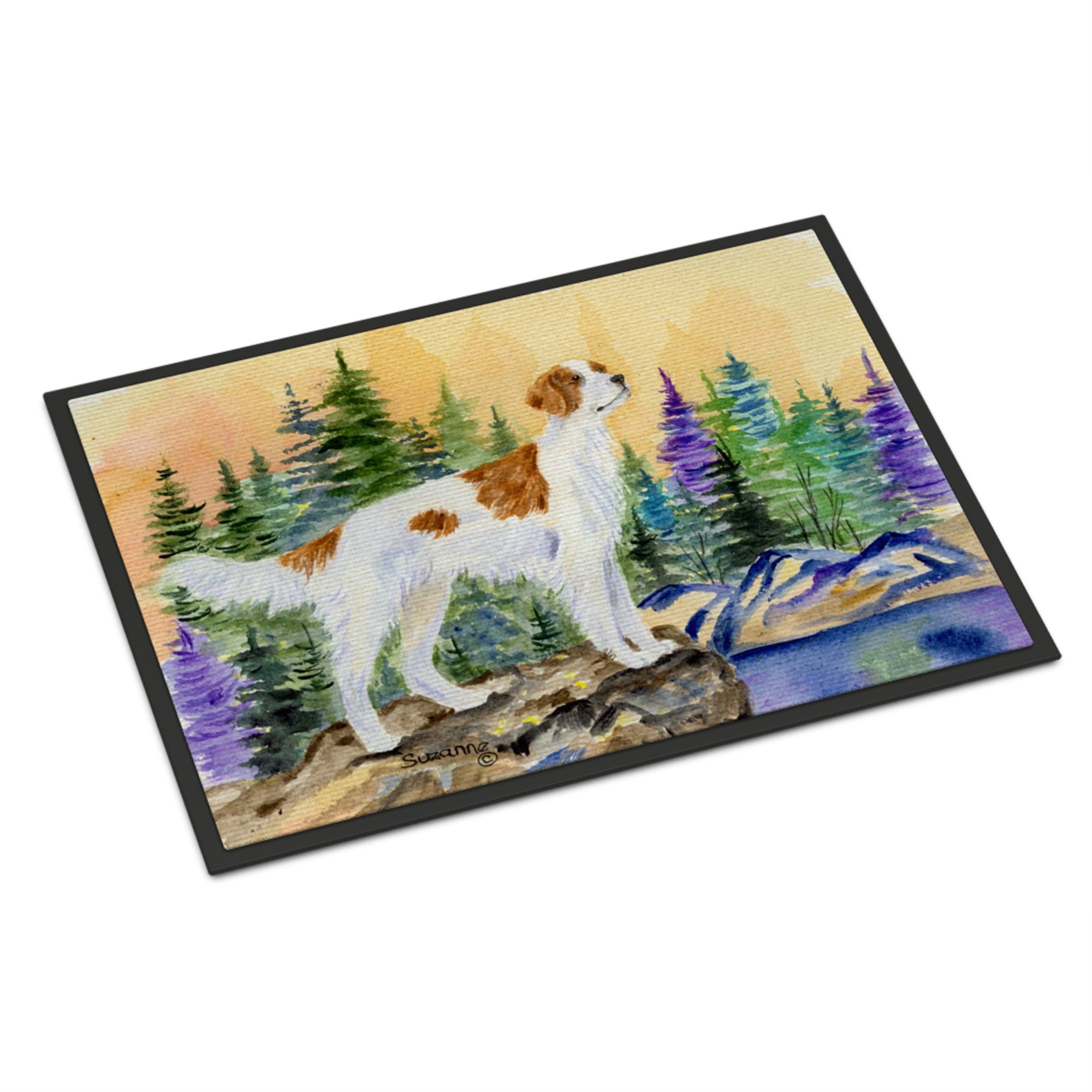 Setter Indoor Or Outdoor Mat 24X36