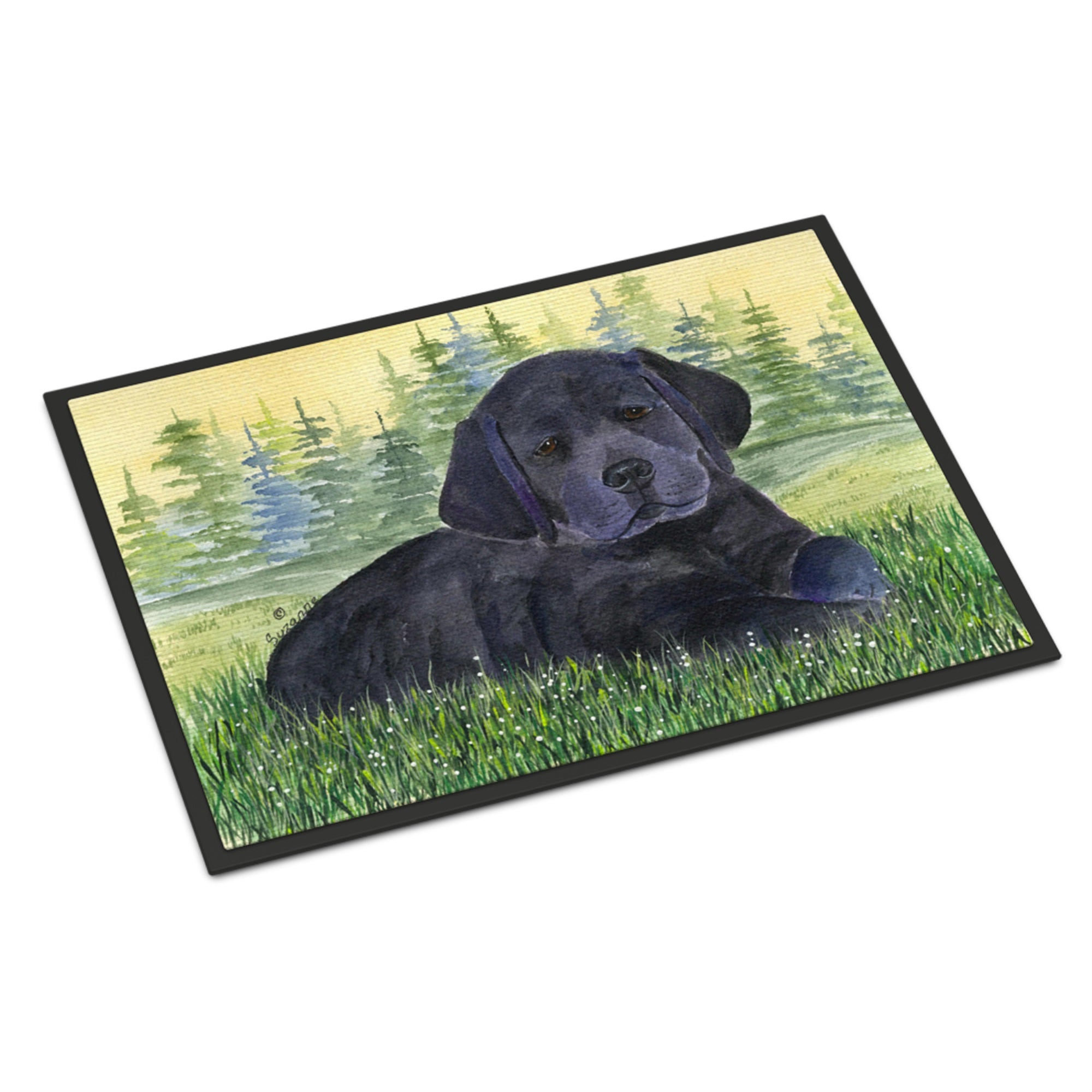 Labrador Indoor Or Outdoor Mat 24X36