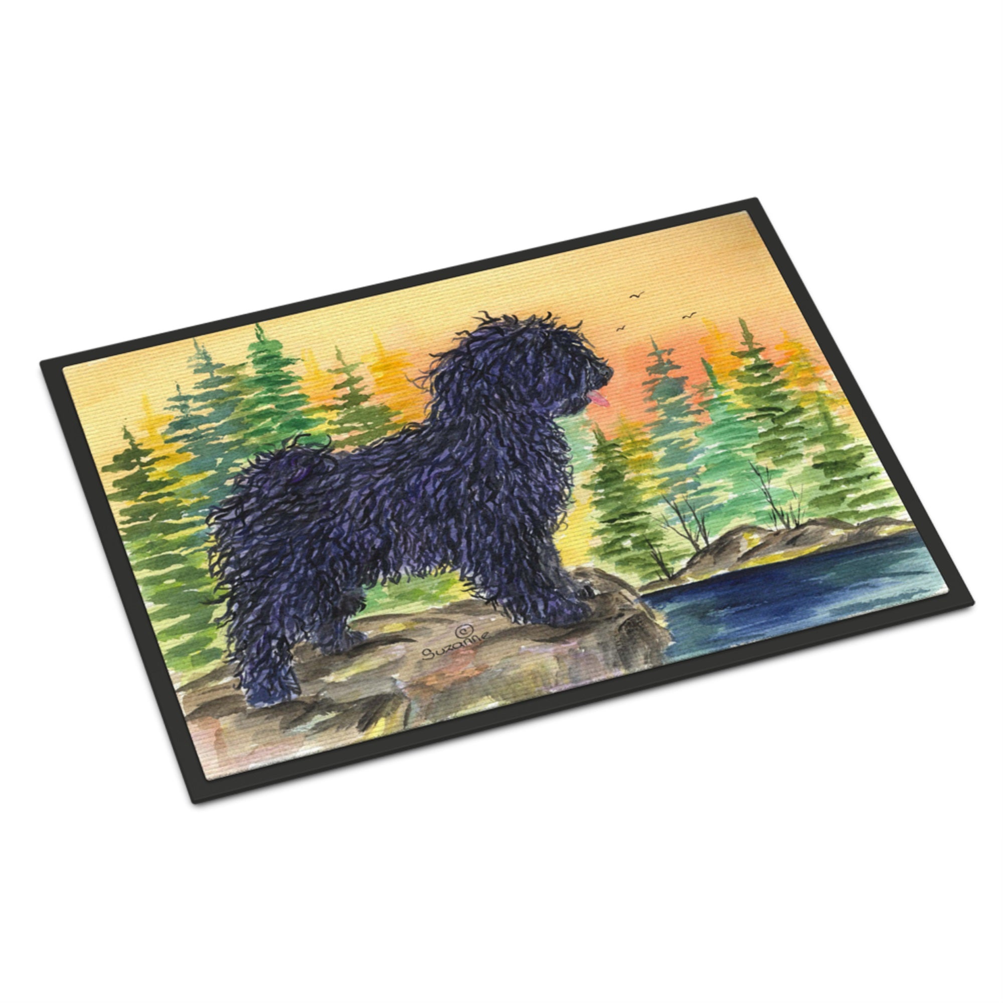 Puli Indoor Or Outdoor Mat 24X36