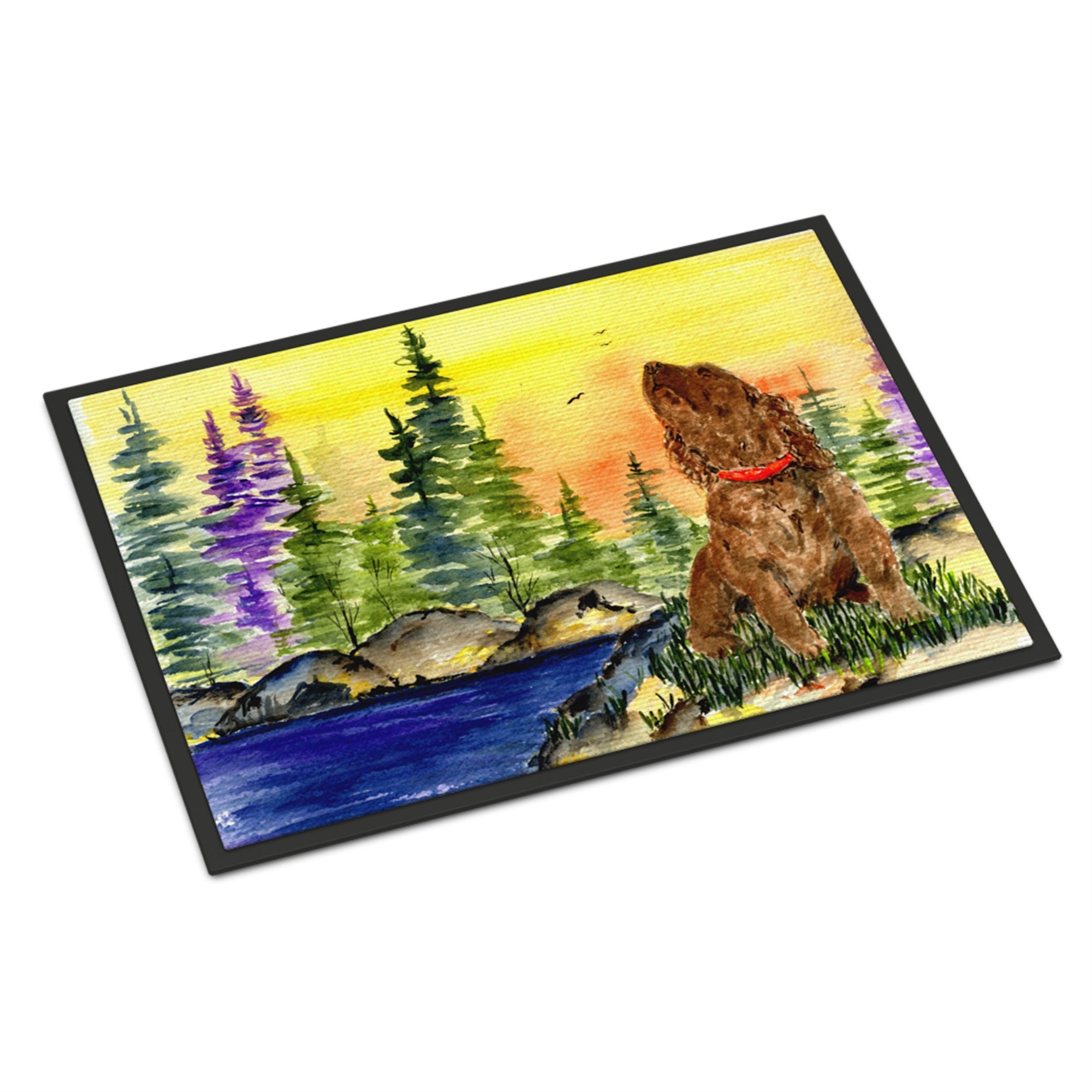 American Water Spaniel Indoor Or Outdoor Mat 24X36