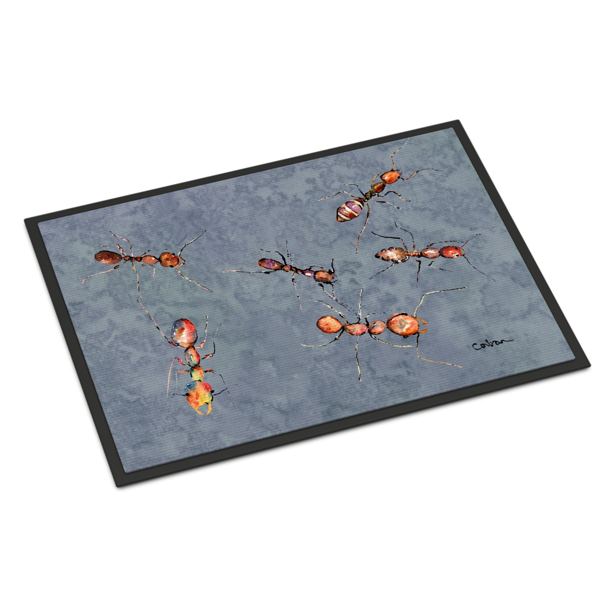 Ants Indoor Or Outdoor Mat 24X36