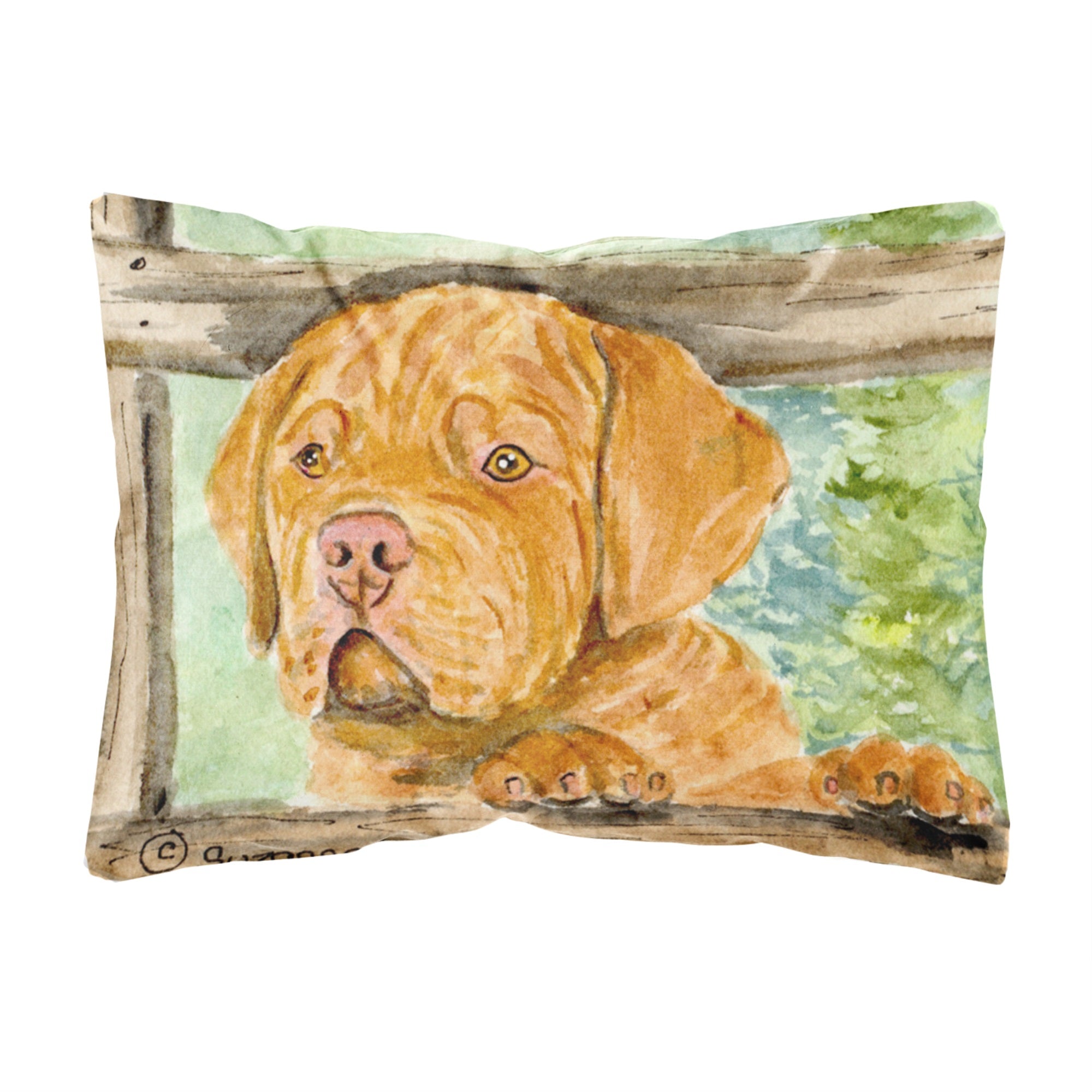 Dogue De Bordeaux Canvas Fabric Decorative Pillow