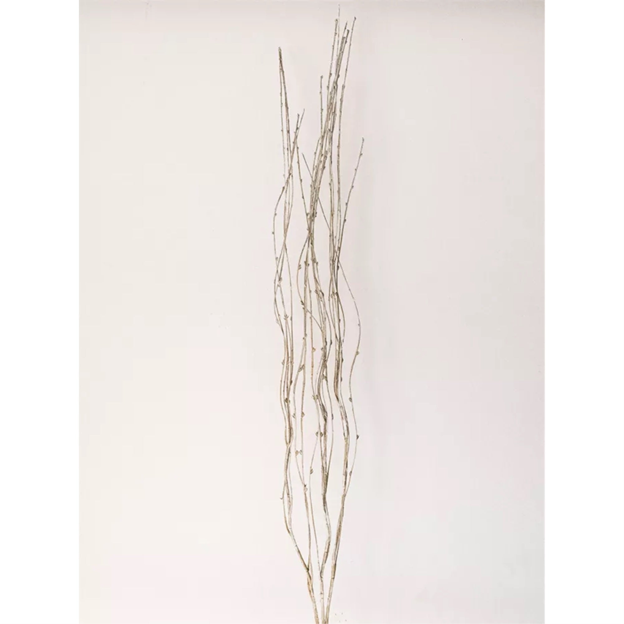 Bead Spray (Set Of 12)