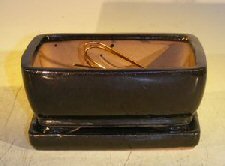 Black Ceramic Bonsai Pot- Rectangle<br>Professional Series with Attached Humidity/Drip Tray<br>6.37 x 4.75 x 2.625