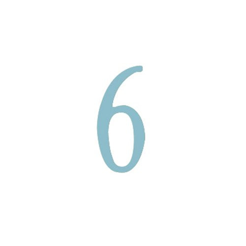 2 inch Stainless Steel Self Adhesive Address Number.  Number: 6