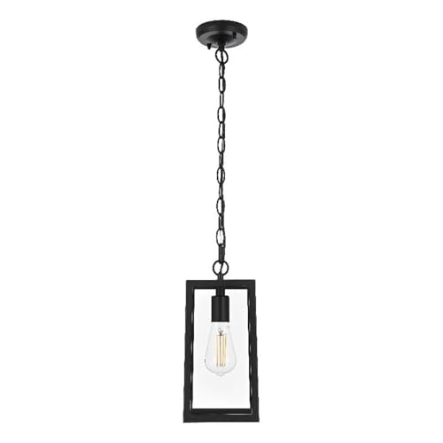 Veda 13 inch Outdoor Pendant in Black