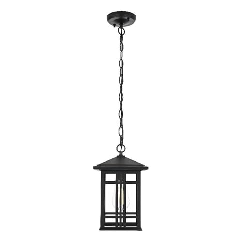 Harley 12 inch Outdoor Pendant in Black