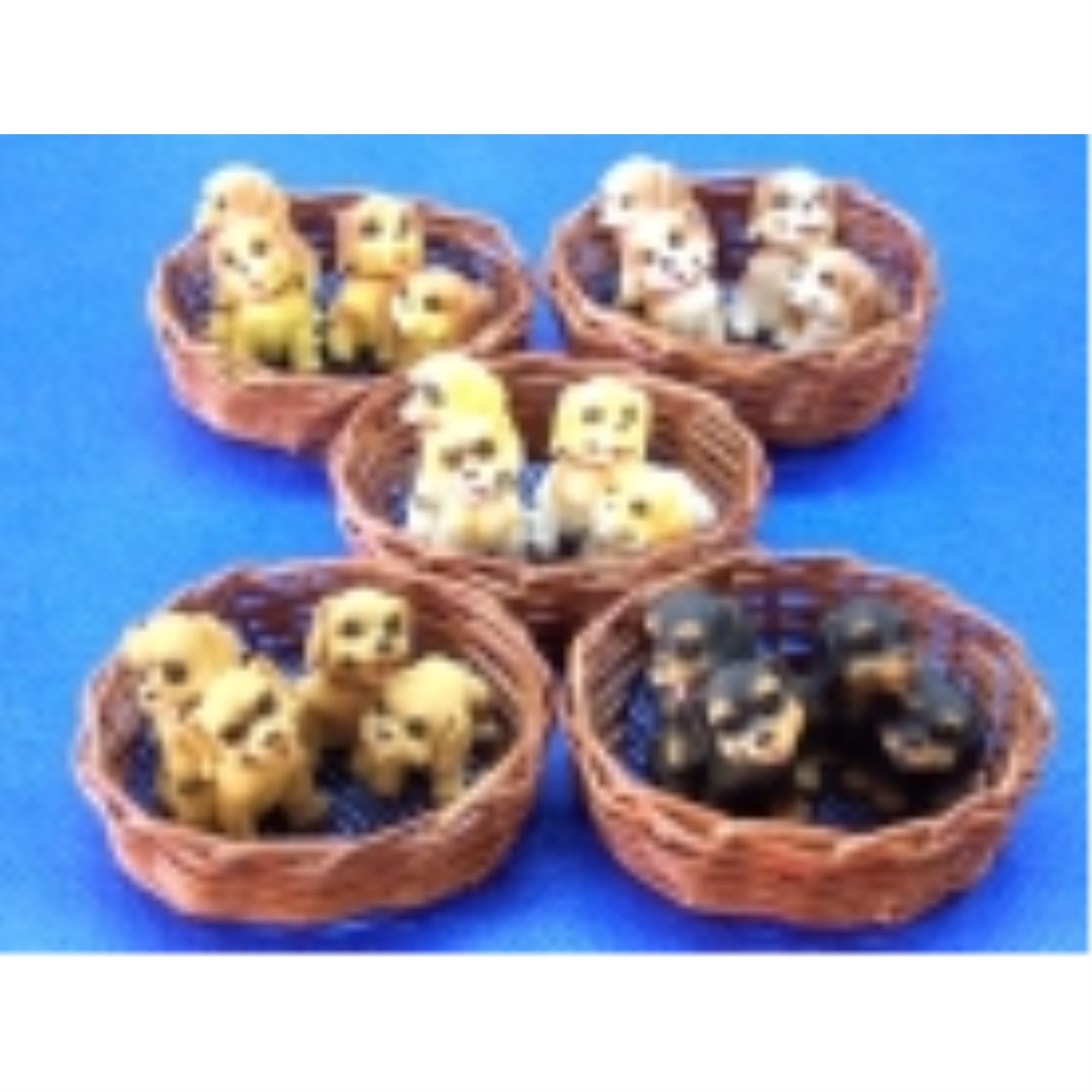 Puppies in Bamboo Basket