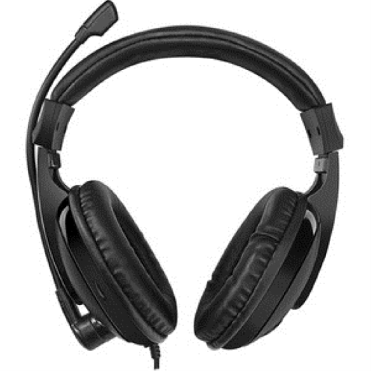 Multimedia Headset W/Microphone