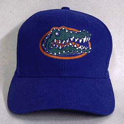 Florida Gators Flashing Fiber Optic Cap