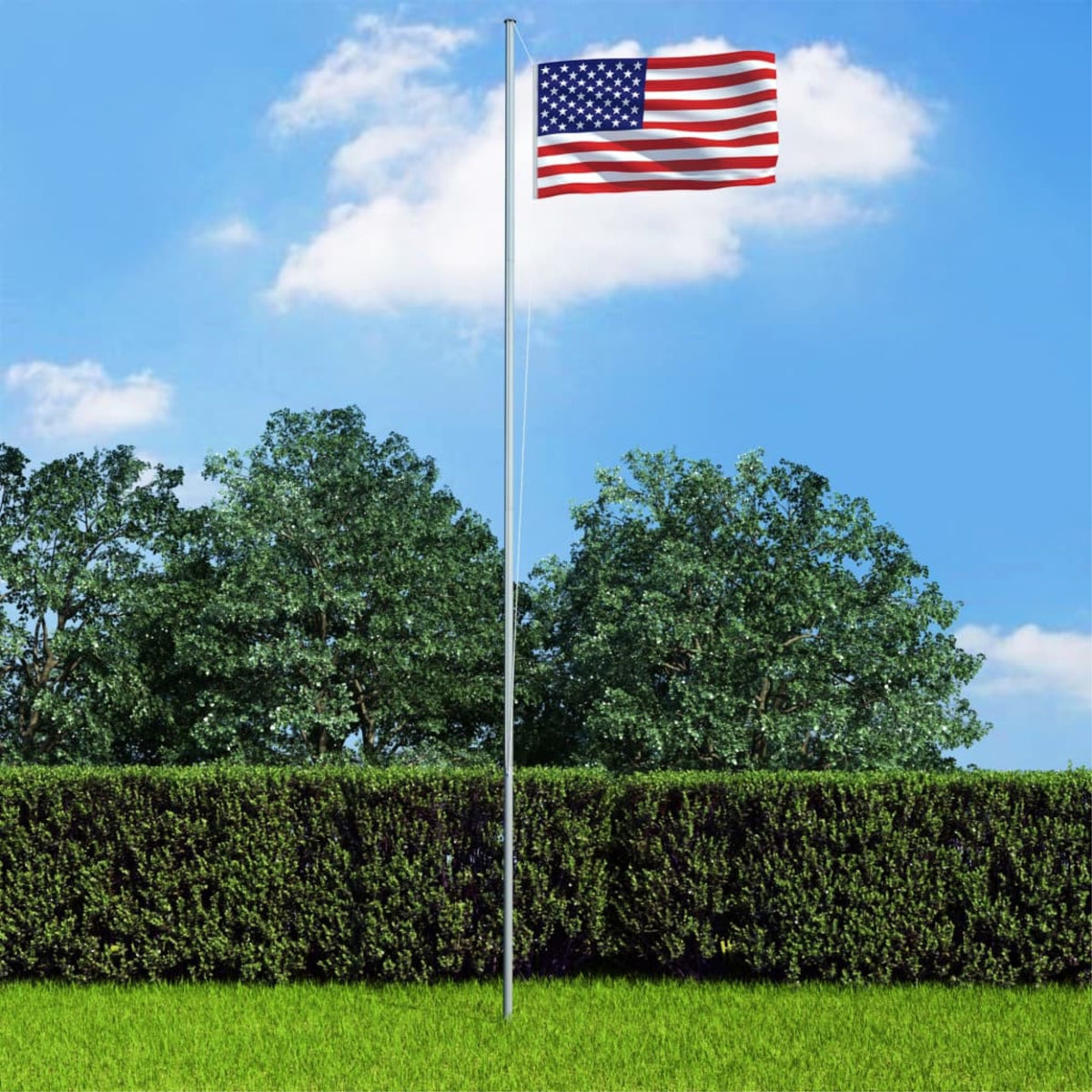 Vidaxl Us Flag And Pole Aluminum 244.1'