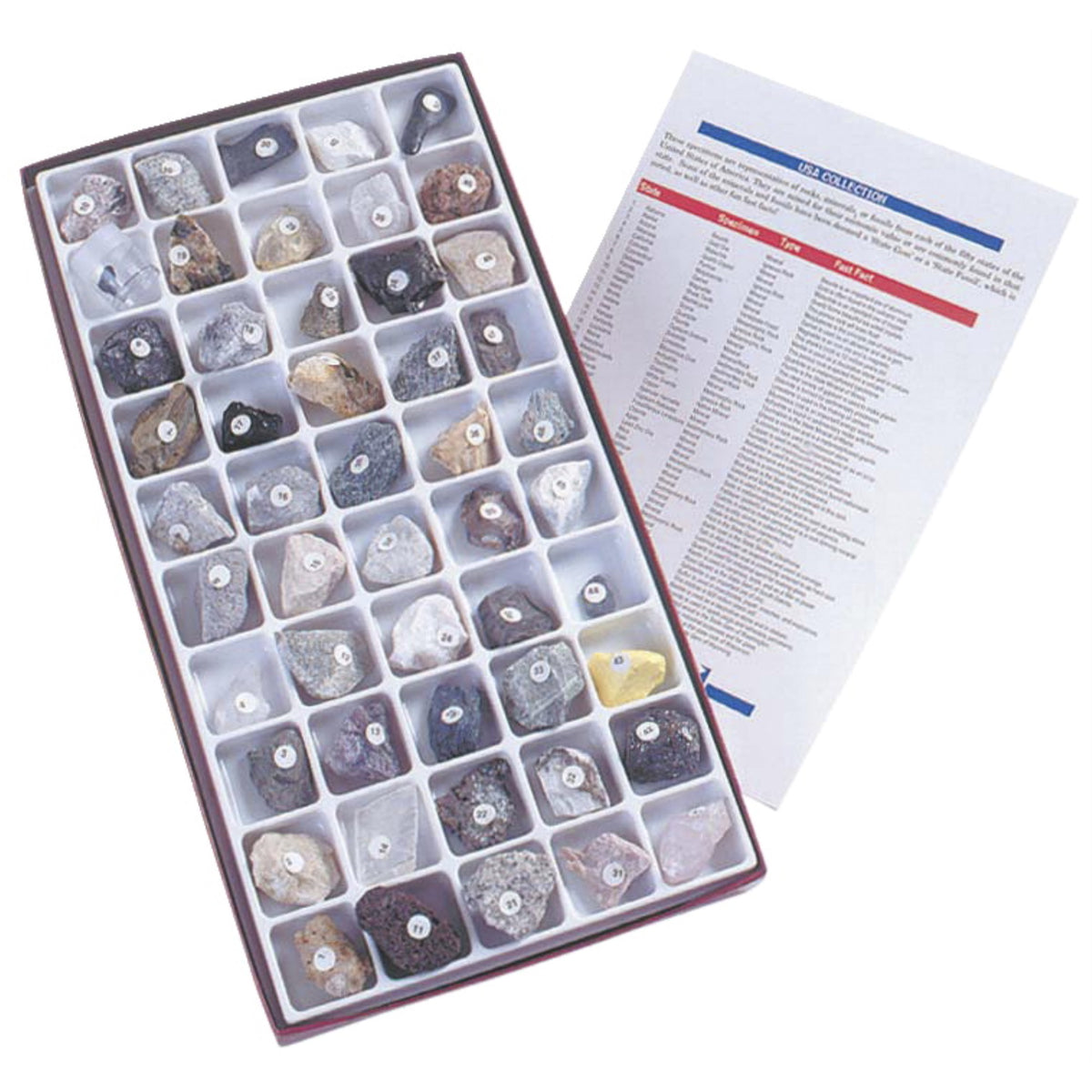 Scott Resources Usa Rock And Mineral Collection, Set Of 50