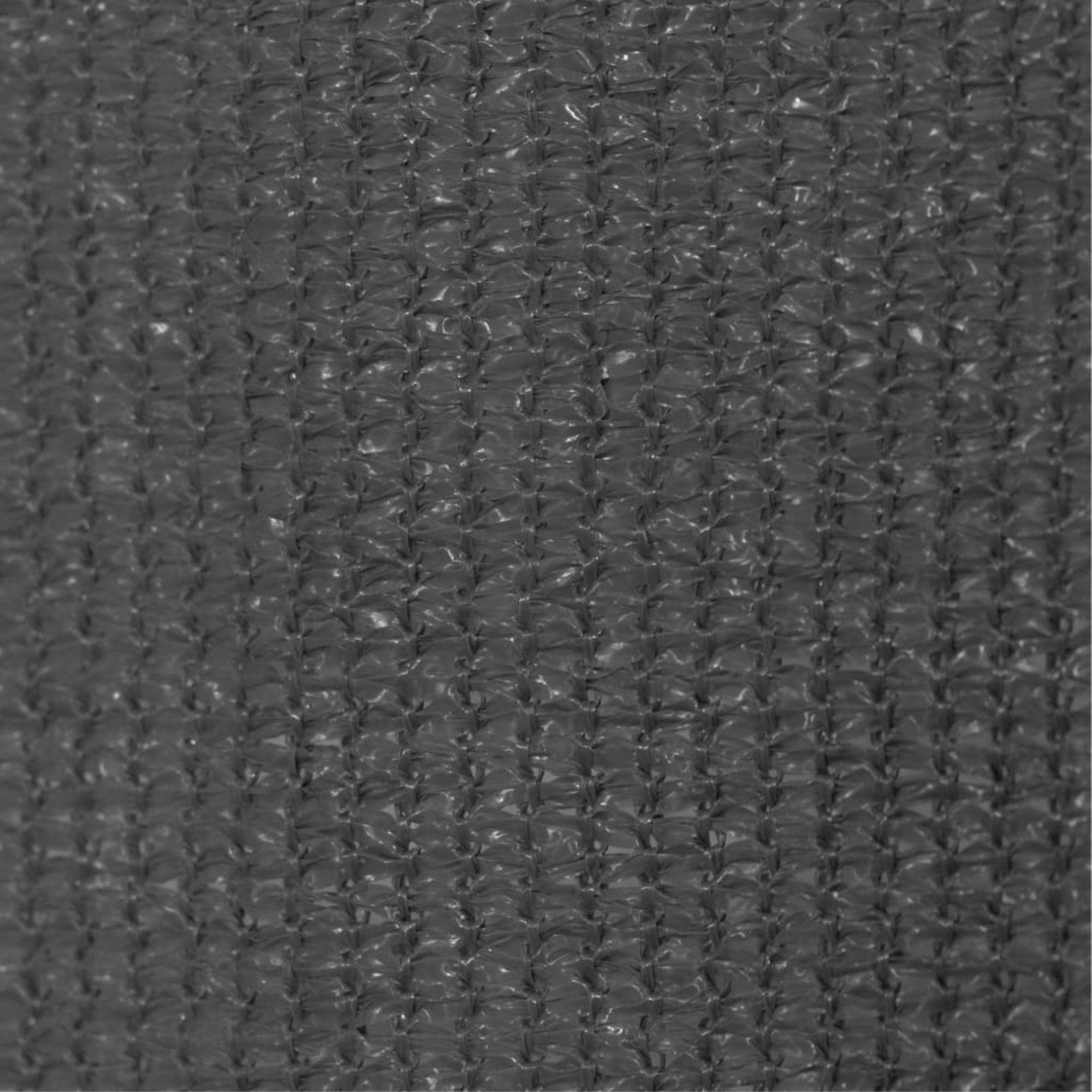 Vidaxl Outdoor Roller Blind 31.5'X90.6' Anthracite