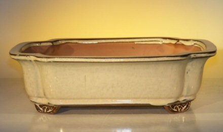 Beige Ceramic Bonsai Pot - Rectangle<br><i>12.0 x 9.5 x 3.375</i>