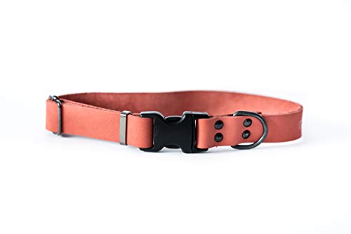 Sport Style Luxury Leather Dog Collar