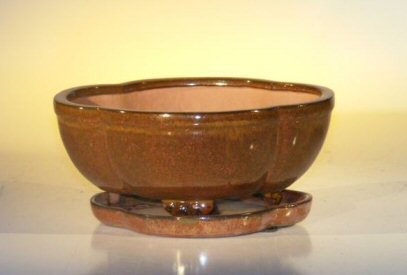 Aztec Orange Ceramic Bonsai Pot - Lotus Shape<br>Professional Series with Attached Humidity/Drip tray<br><i>8.5 x 6.5 x 3.5</i>