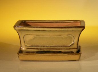 Olive Green Ceramic Bonsai Pot - Rectangle<br>Professional Series with Attached Humidity/Drip tray<br><i>6.37 x 4.75 x 2.625</i>