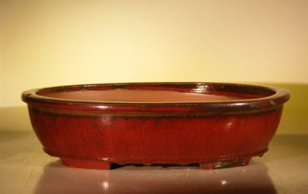 Parisian Red Ceramic Bonsai Pot - Oval<br><i>16.0 x 12.5 x 4.0</i>