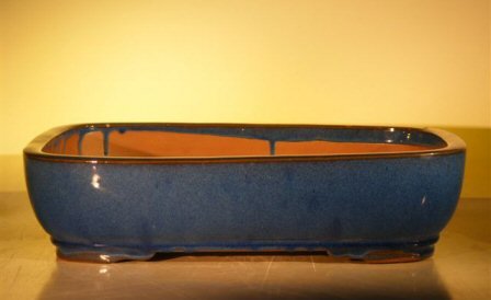 Blue Ceramic Bonsai Pot - Rectangle<br><i>16.0 x 12.5 x 4.0</i>