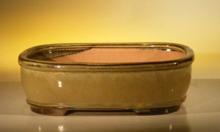 Olive Green Ceramic Bonsai Pot - Rectangle<br><i>10 x 8 x 3.125</i>