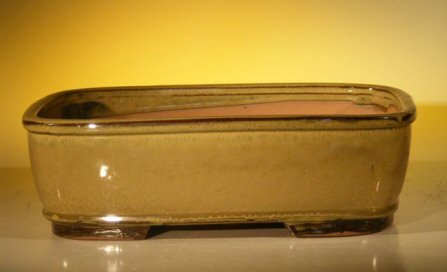 Olive Green Ceramic Bonsai Pot - Rectangle 12.0 x 9.5 x 3.375