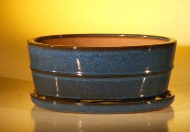Blue Ceramic Bonsai Pot- Oval Professional Series with Attached Humidity/Drip tray 10.0 x 7.5 x 4.5