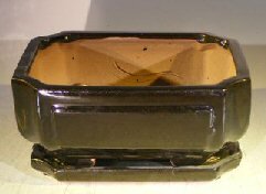 Black Ceramic Bonsai Pot- Rectangle<br>Professional Series With Attached Humidity/Drip Tray<br>8.5 x 6.75 x 4.0