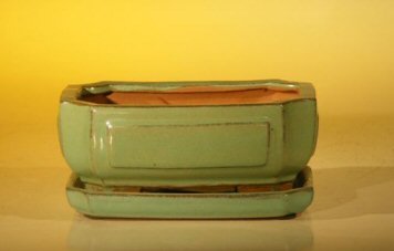 Light Green Ceramic Bonsai Pot - Rectangle<br>Professional Series with Attached Humidity/Drip tray<br><i>6.37 x 4.75 x 2.625</i>