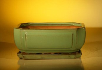 Green Ceramic Bonsai Pot - Rectangle Professional Series With Attached Humidity/Drip tray 10.75 x 8.5 x 4.125