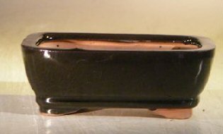 Black Ceramic Bonsai Pot - Rectangle<br><i>5.0 x 3.5 x 2.0</i>
