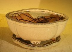 Beige Ceramic Bonsai Pot<br>Lotus Shaped<br>Professional Series Oval with Attached Humidity/Drip Tray<br>6.37 x 4.75 x 2.625