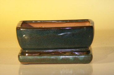 Green Ceramic Bonsai Pot  With Attached Humidity/Drip tray - Professional Series<BR>Rectangle<br>6.37 x 4.75 x 2.625